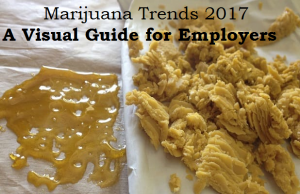 Read more about the article Marijuana Trends 2017 A Visual Guide for Employers
